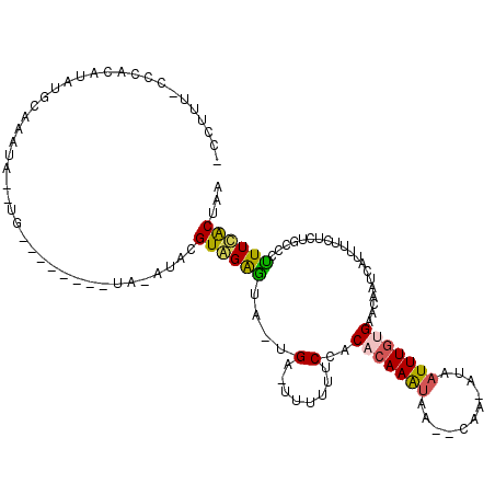secondary structure