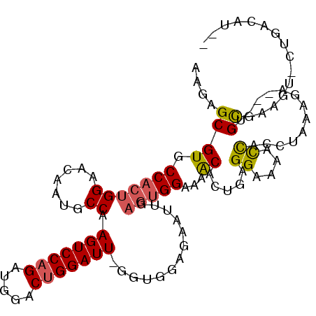 secondary structure