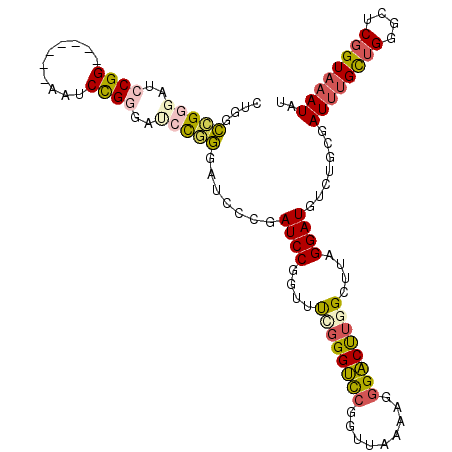 secondary structure