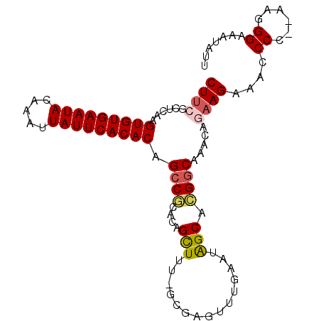 secondary structure