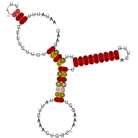 secondary structure
