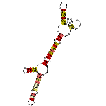 secondary structure