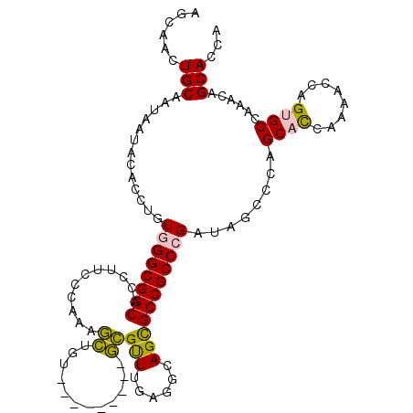 secondary structure