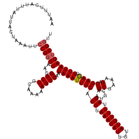 secondary structure