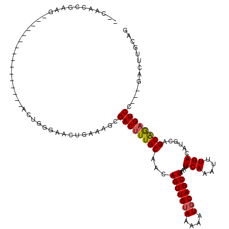 secondary structure