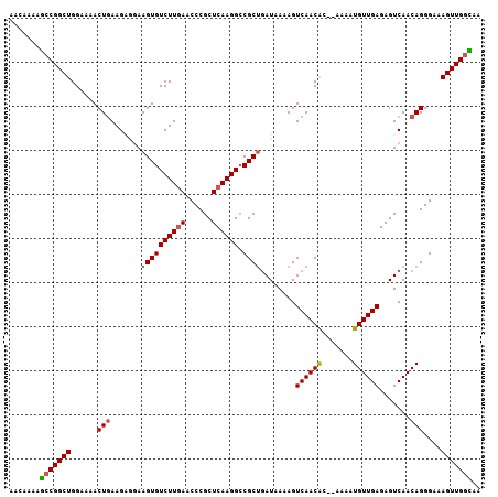 dotplot