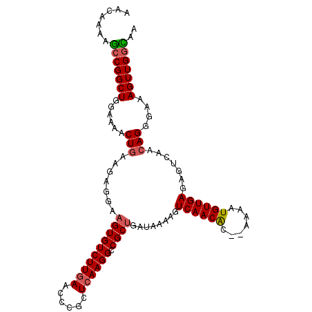 secondary structure