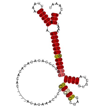 secondary structure