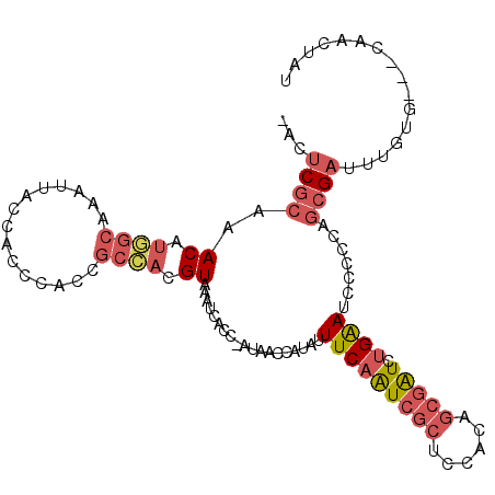 secondary structure