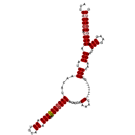 secondary structure