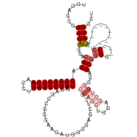 secondary structure