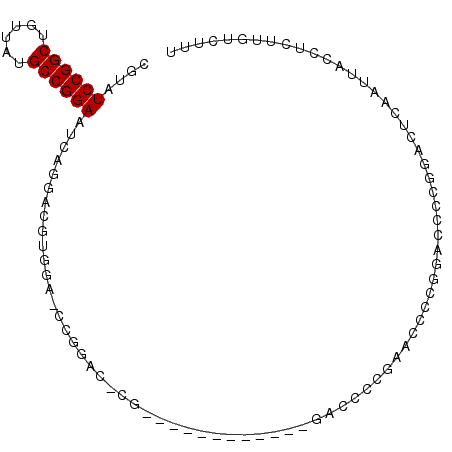 secondary structure