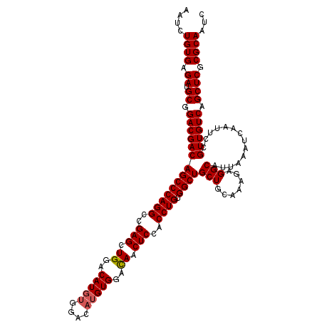 secondary structure