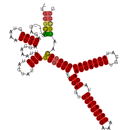 secondary structure