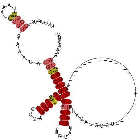 secondary structure