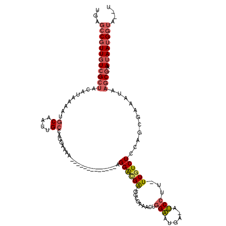 secondary structure