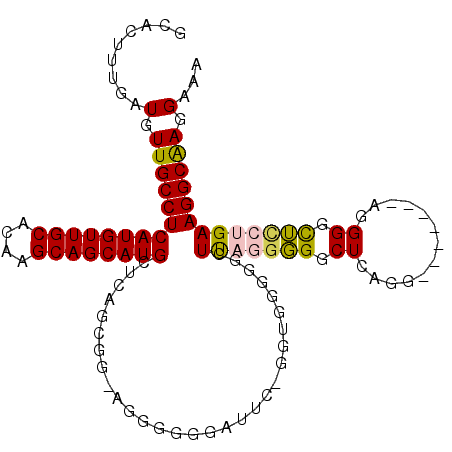 secondary structure