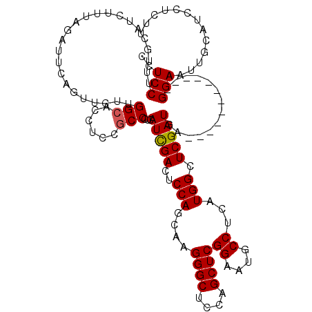 secondary structure