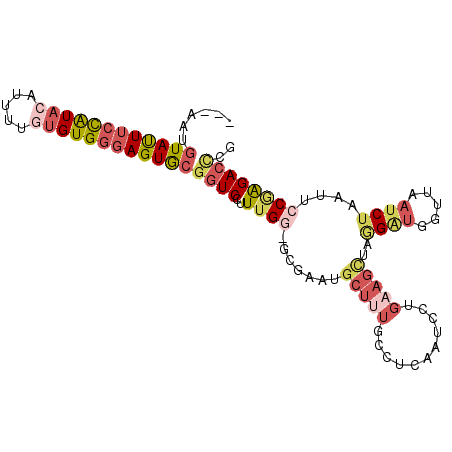secondary structure