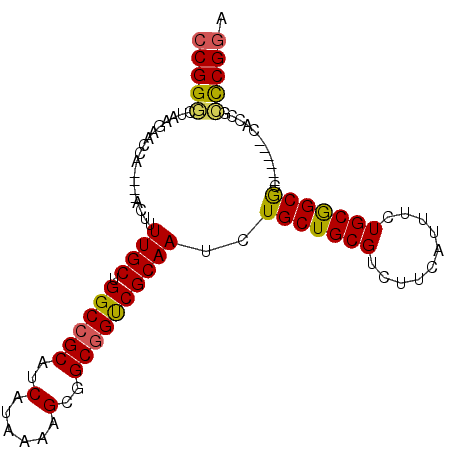 secondary structure