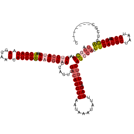 secondary structure