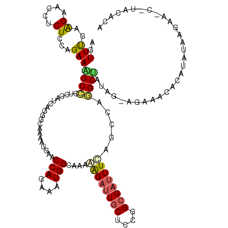 secondary structure