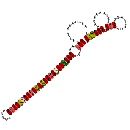 secondary structure