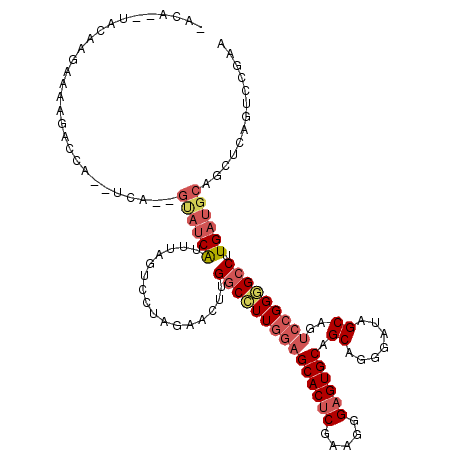 secondary structure