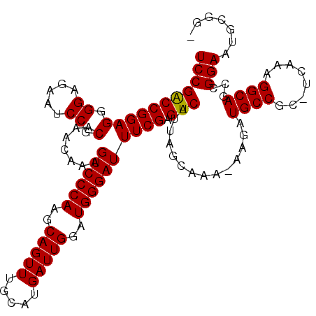 secondary structure