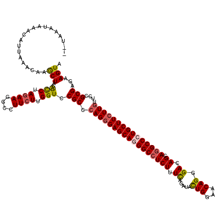 secondary structure