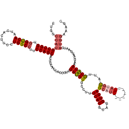 secondary structure