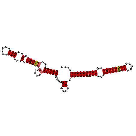 secondary structure