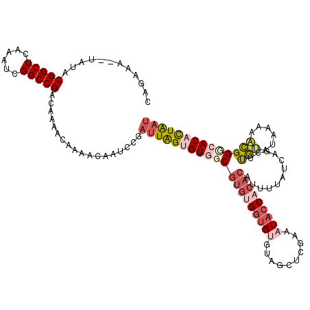 secondary structure