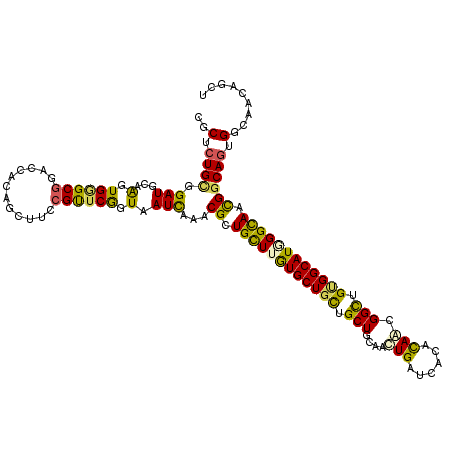 secondary structure