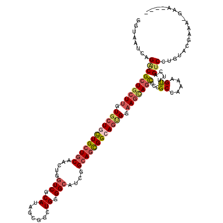secondary structure