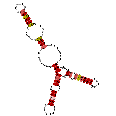 secondary structure