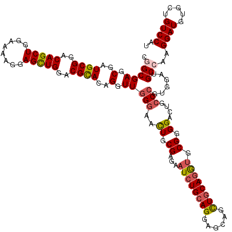 secondary structure