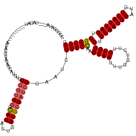 secondary structure