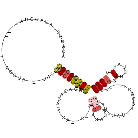 secondary structure