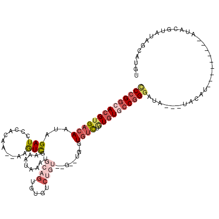 secondary structure