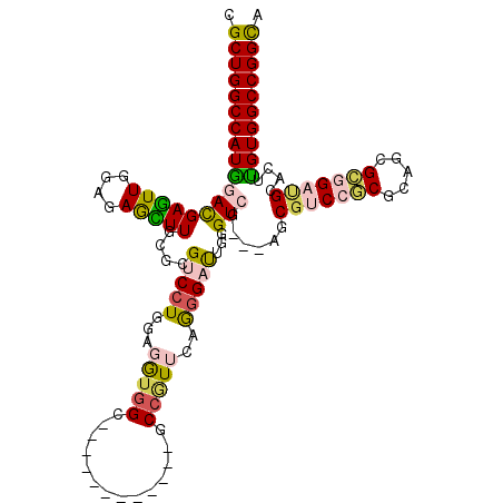 secondary structure