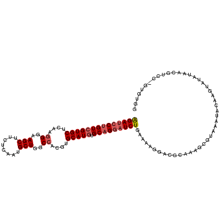 secondary structure