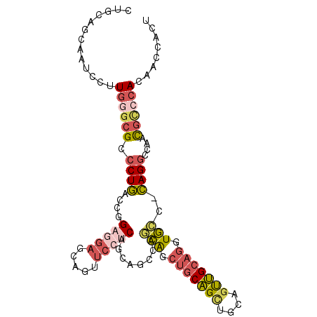 secondary structure