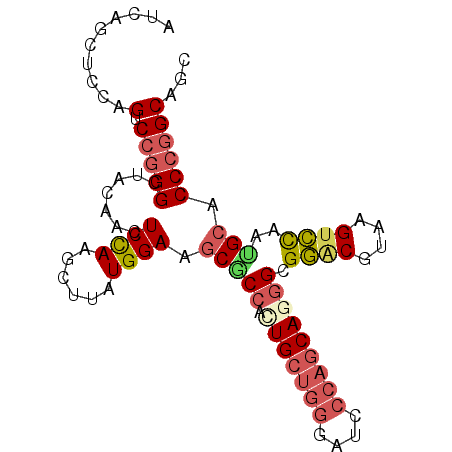 secondary structure