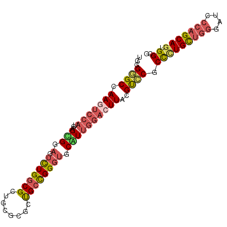secondary structure