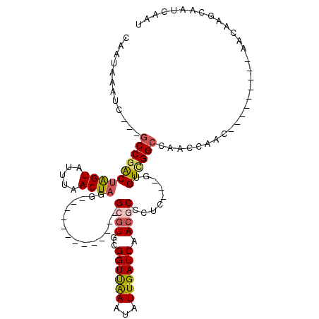 secondary structure