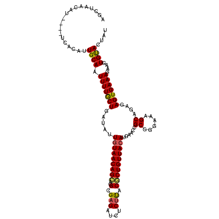 secondary structure