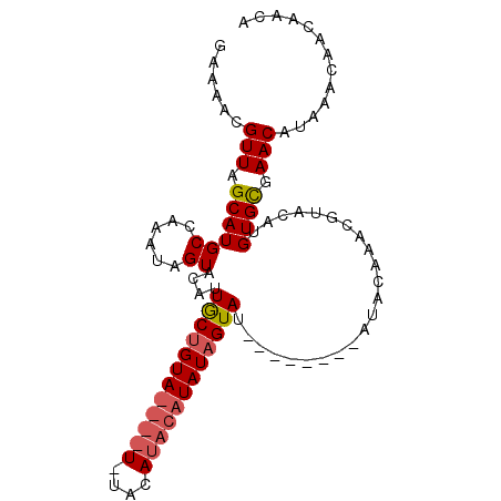 secondary structure