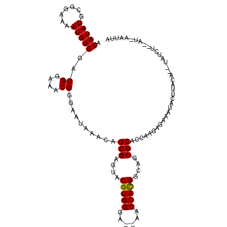 secondary structure