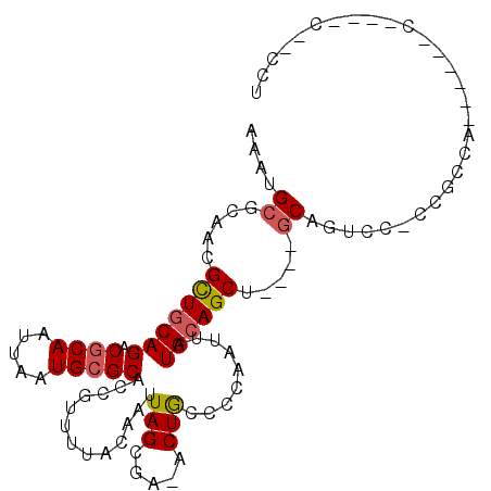 secondary structure